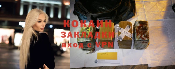 шишки Инсар
