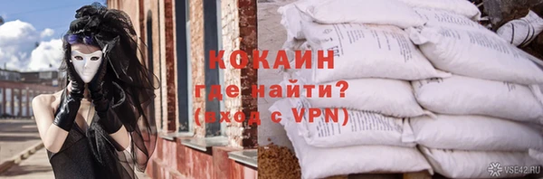 шишки Инсар