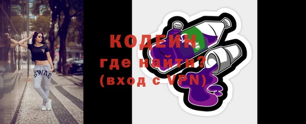 шишки Инсар