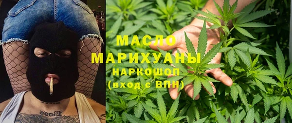 шишки Инсар