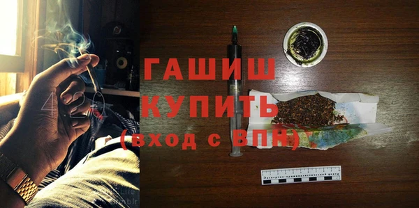 шишки Инсар