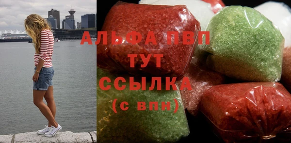 шишки Инсар