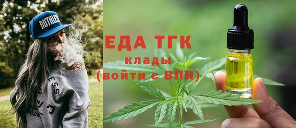 шишки Инсар