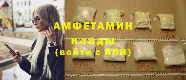 шишки Инсар