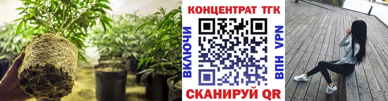 мега вход Краснознаменск ТГК THC oil