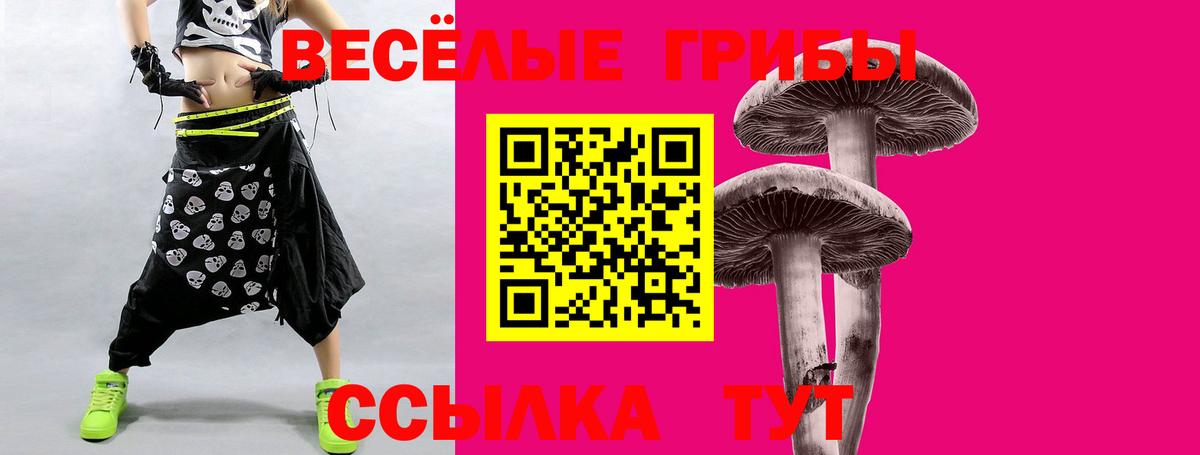 Краснознаменск  Галлюциногенные грибы Cubensis  Вход с VPN 